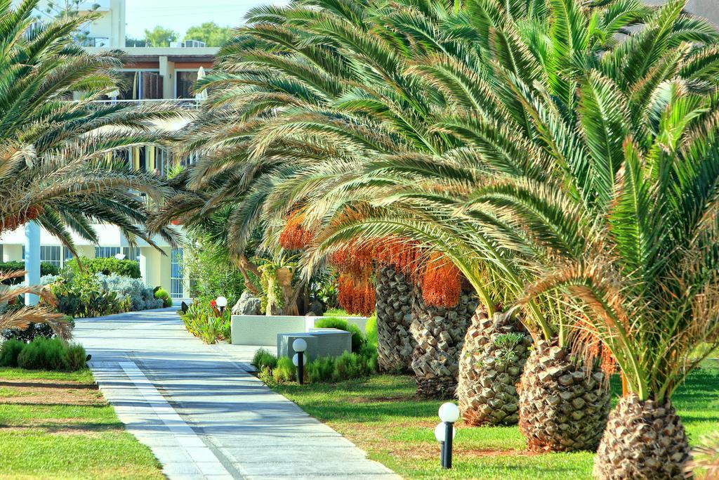 Santa Marina Beach Gazi Εξωτερικό φωτογραφία